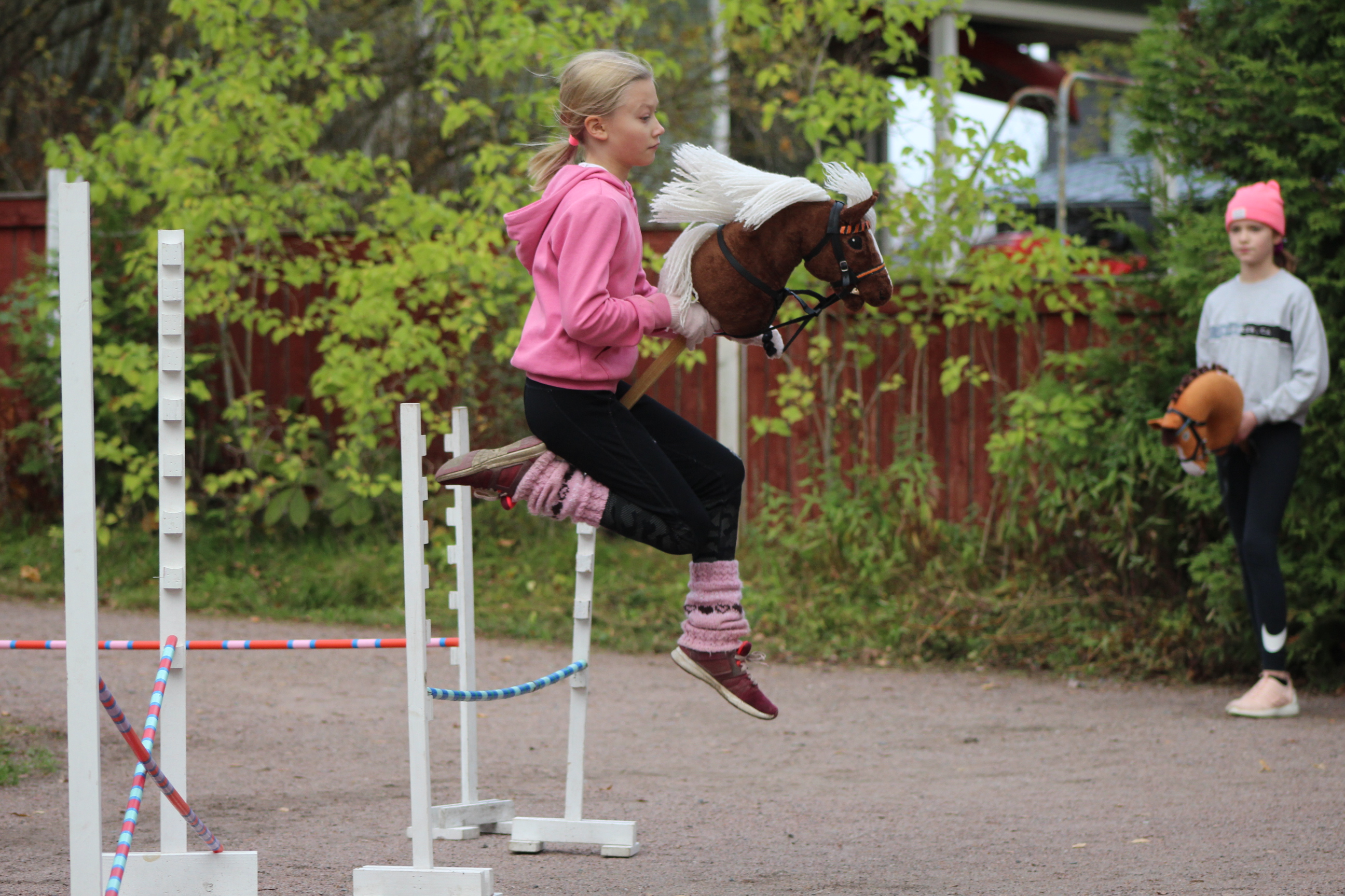 horse stick competition