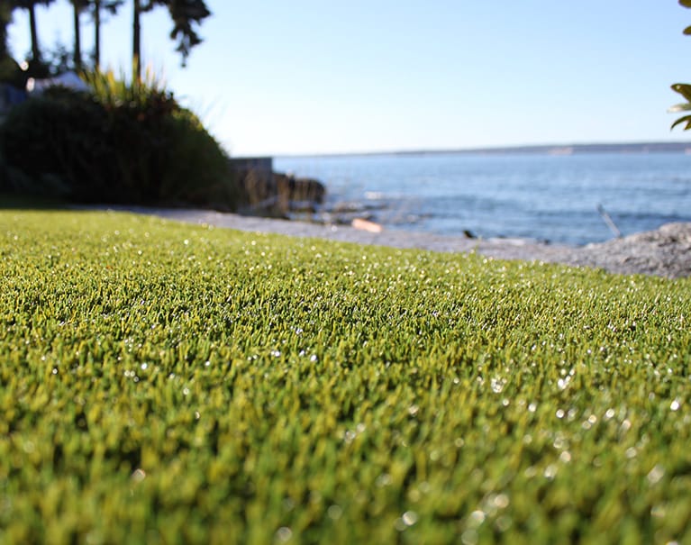 artificial turf north beach