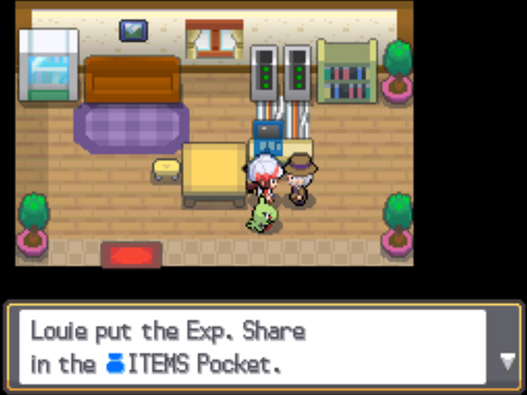 experience share soulsilver