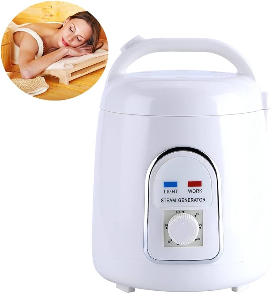 portable steam generator for sauna