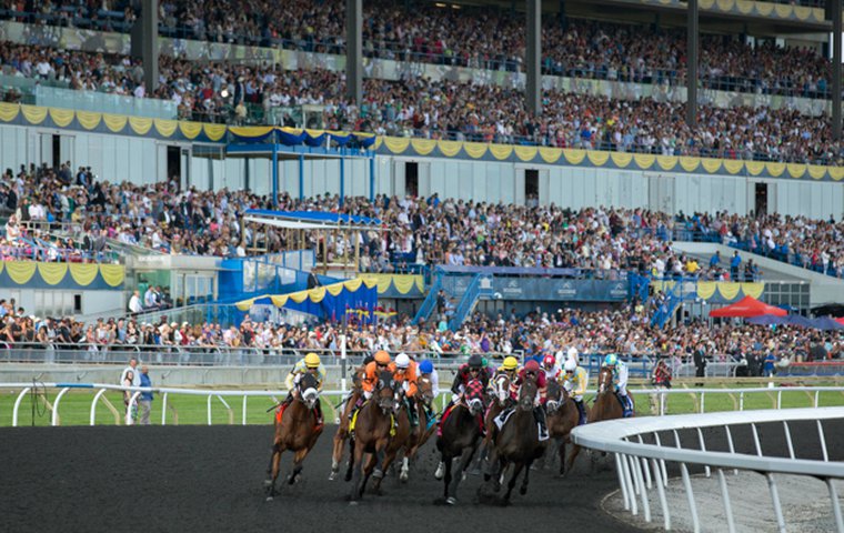 woodbine race track