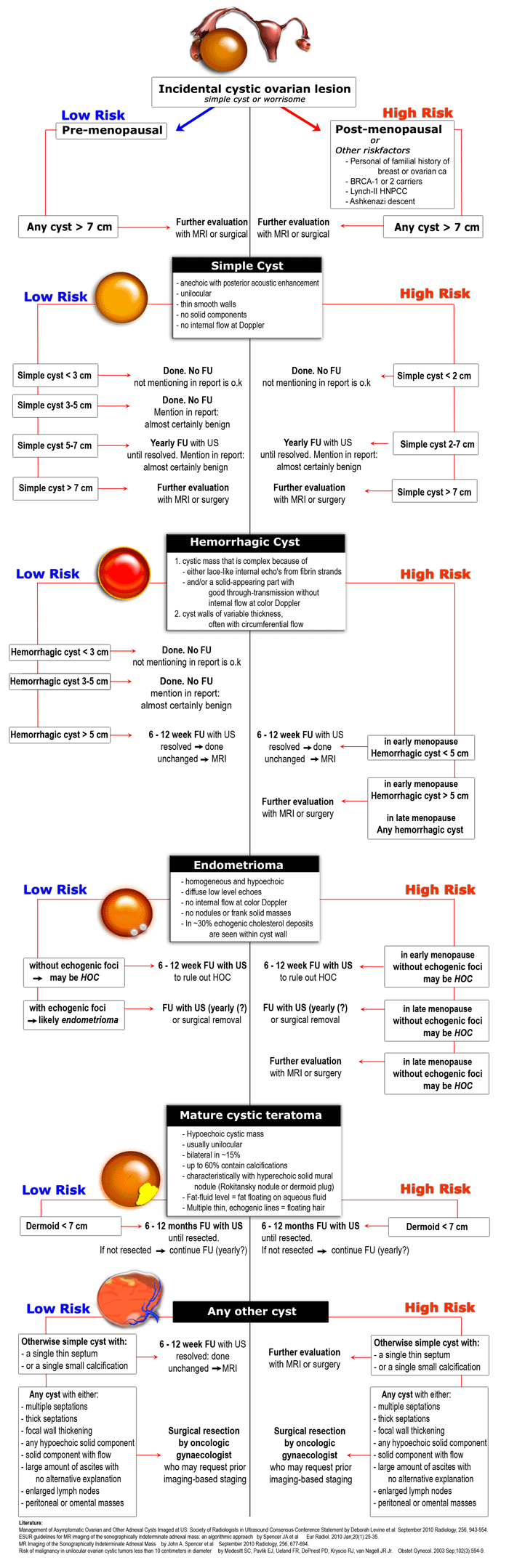 ovarian cyst size chart