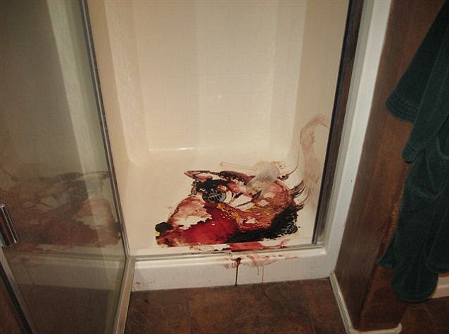 travis alexander crime scene pictures