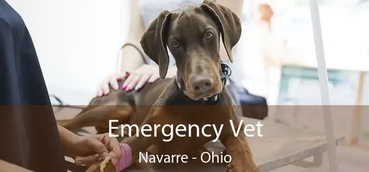 veterinarian navarre ohio