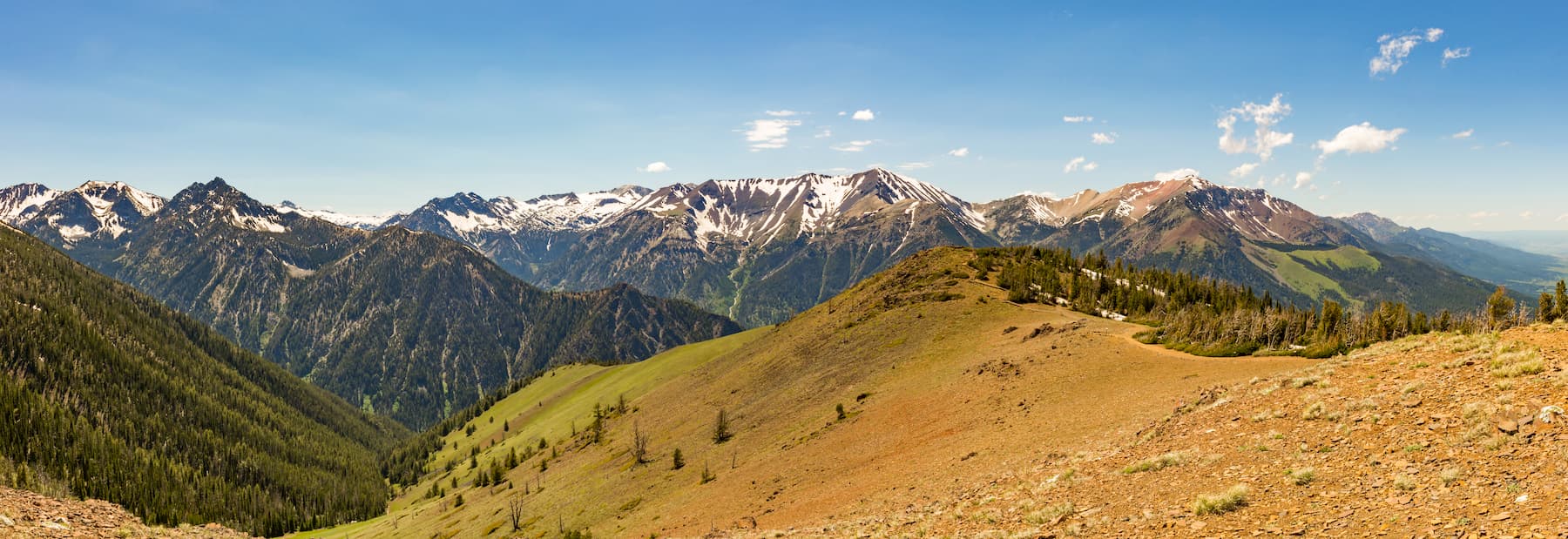 wallowa whitman national forest