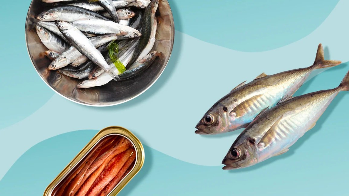 are anchovies fattening