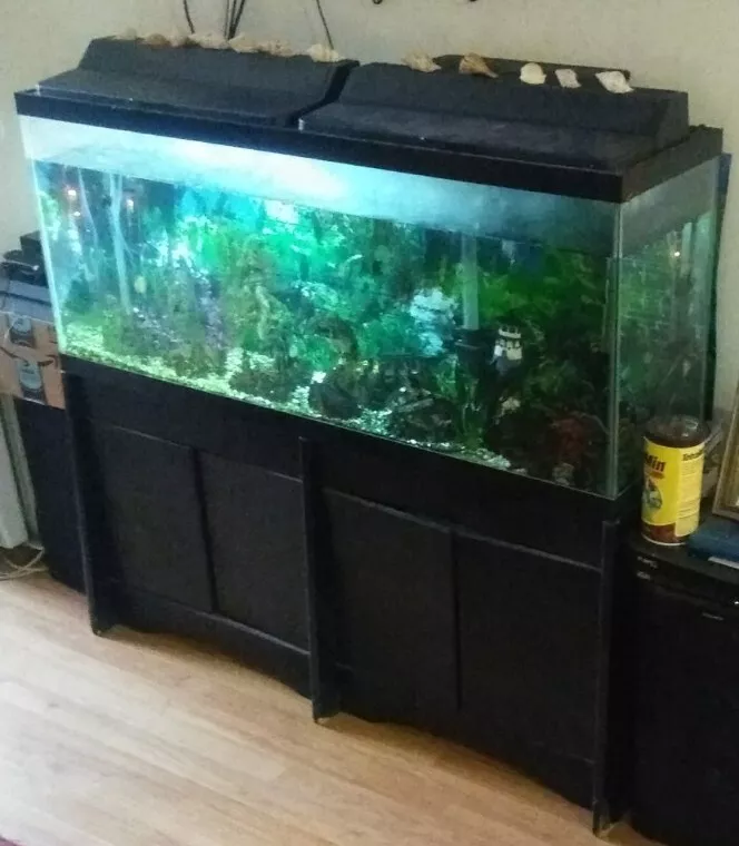 55 gallon fish tank top