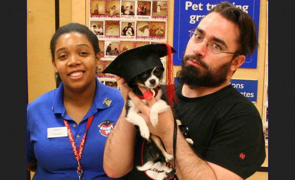 dog training at pet smart