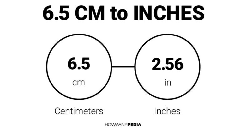 6.5 inches to cm