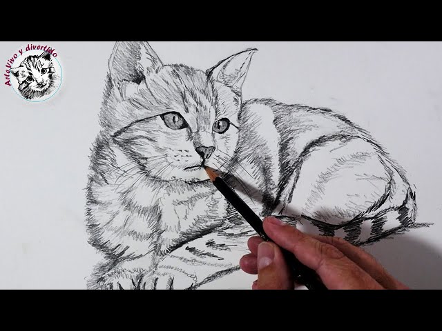 cómo dibujar un gato realista