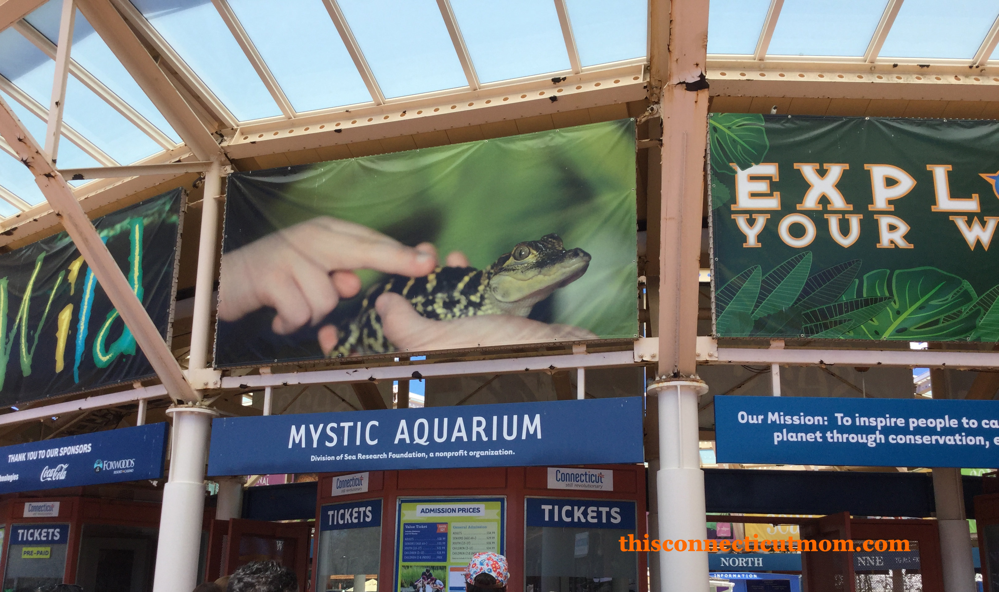 ebt mystic aquarium