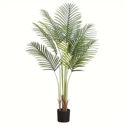 canadian tire palm tree