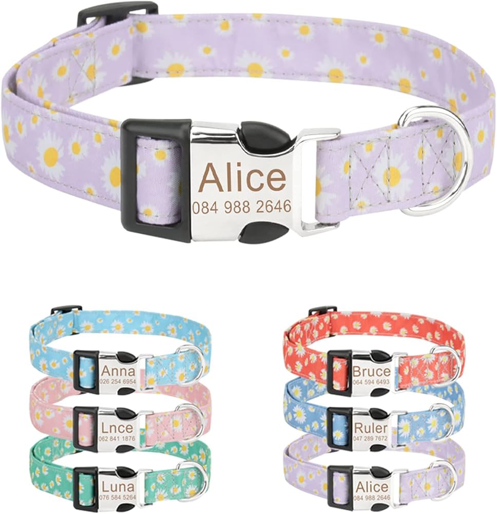 personalized puppy collars