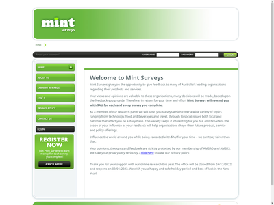 mint surveys review