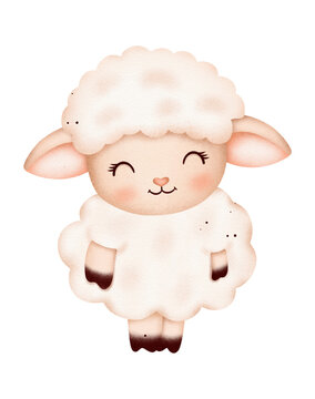 cute lamb drawing