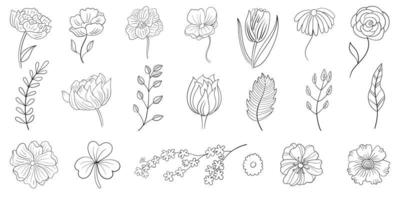 flower vector art