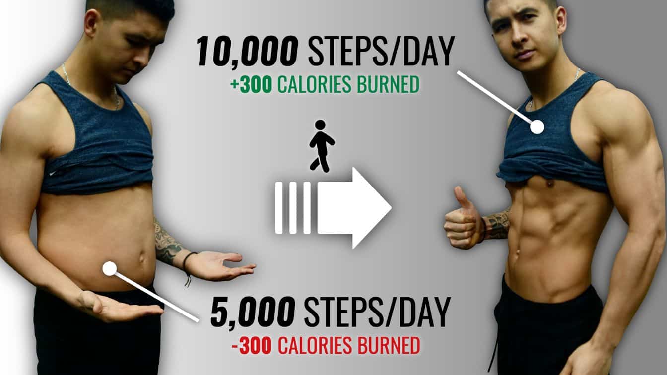 10000 steps a day calories burned