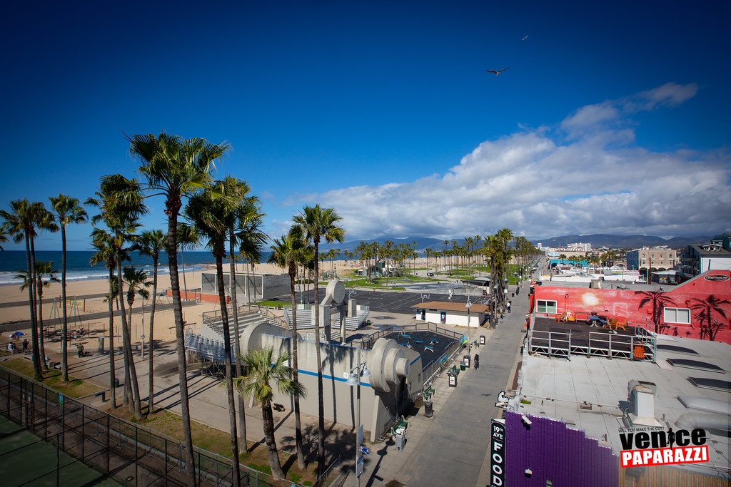 venice ca webcam