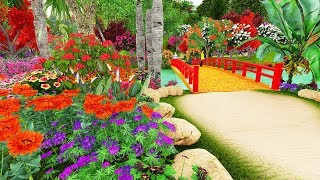 4k hdr video beautiful flower garden in canada