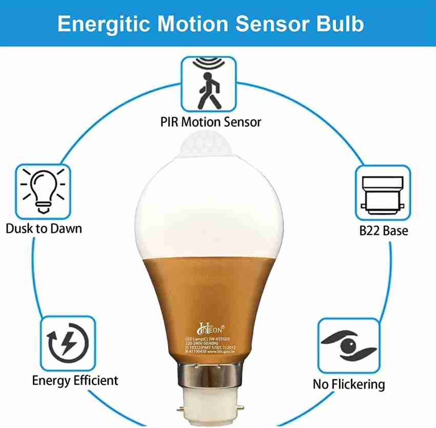 motion sensor light globe