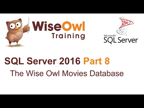 wise owl movies database download