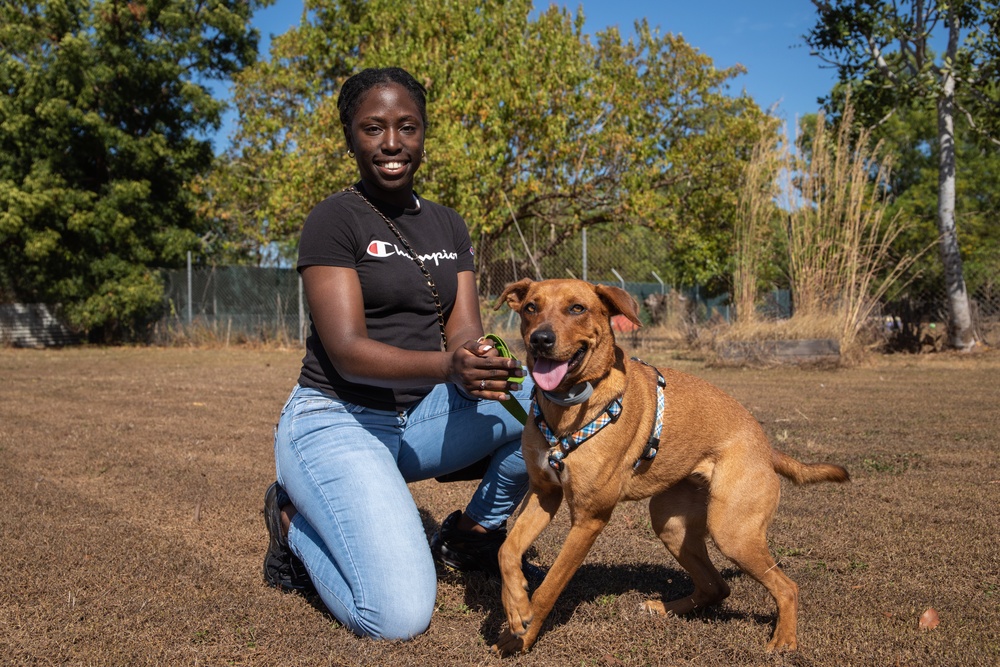 rspca volunteering