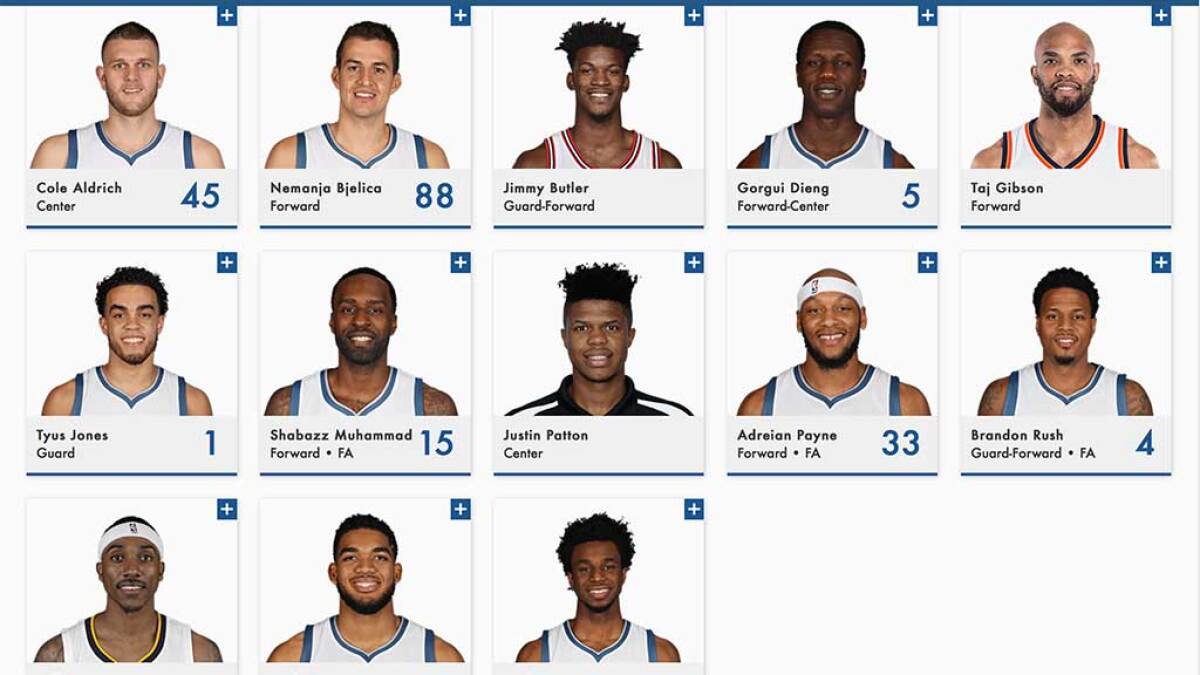 minnesota timberwolves basketball roster