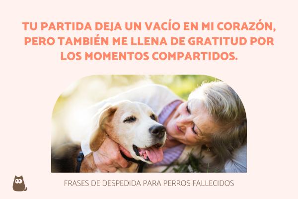 frases de despedida mascota