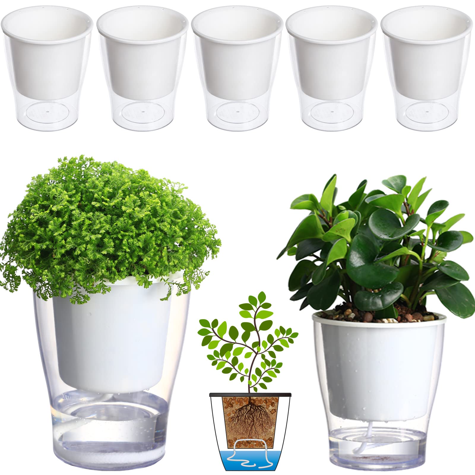 clear plastic flower pots