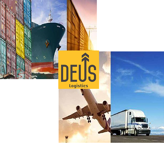 deus international global logistics inc