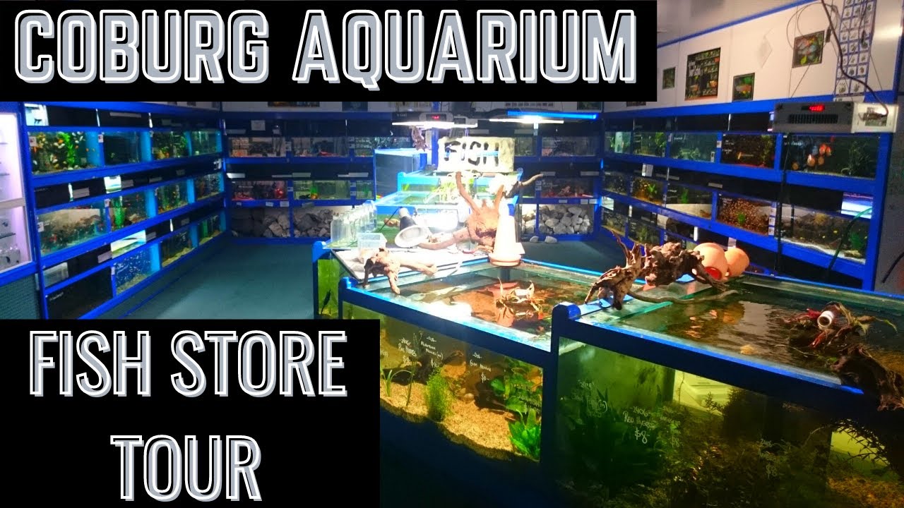 coburg aquariums