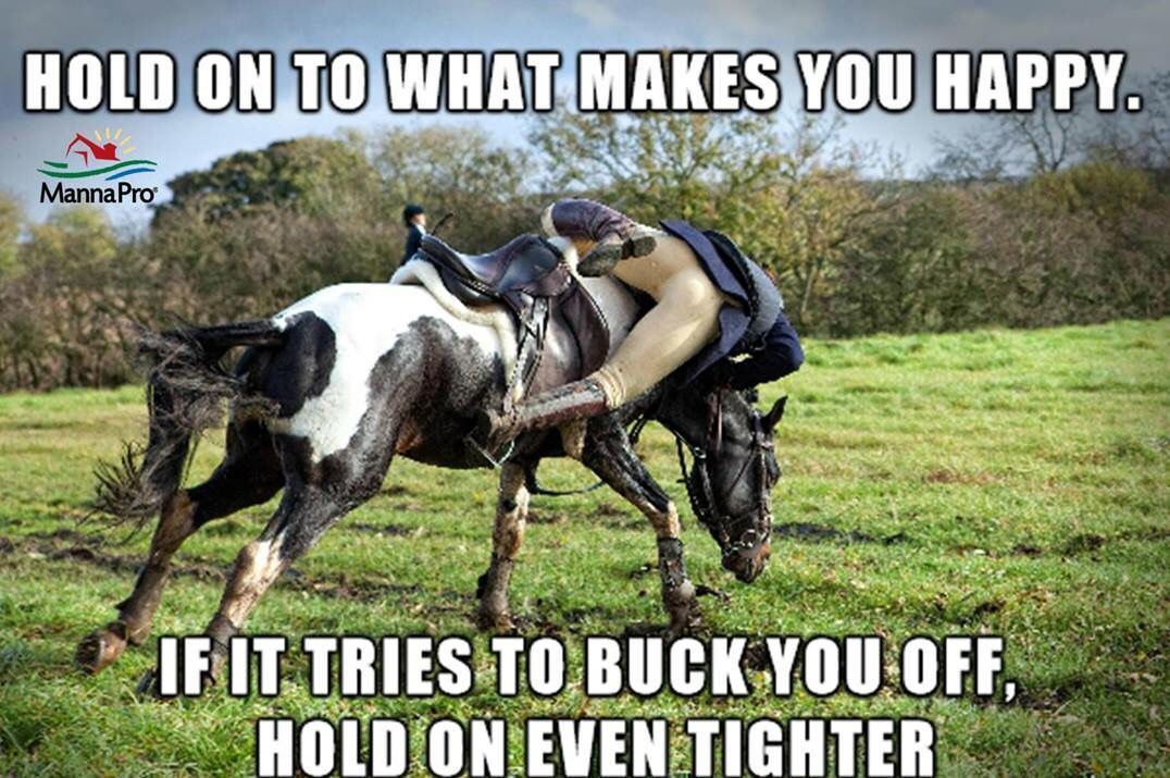 funny horse quotes