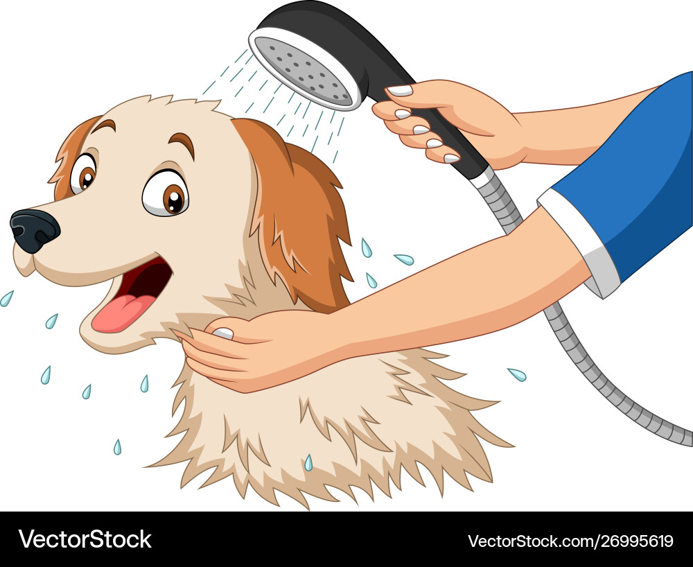 bathing animals clipart