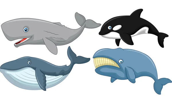 ballenas dibujos