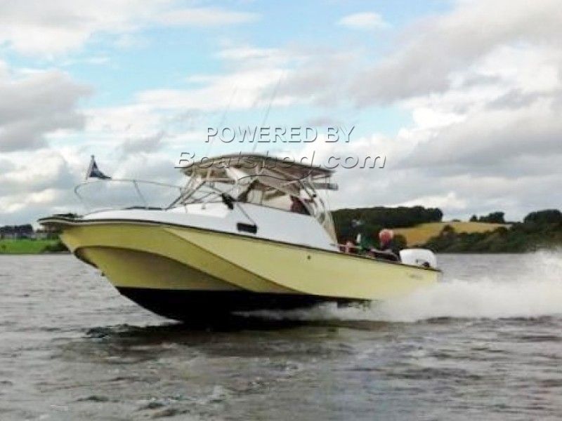 boston whaler revenge