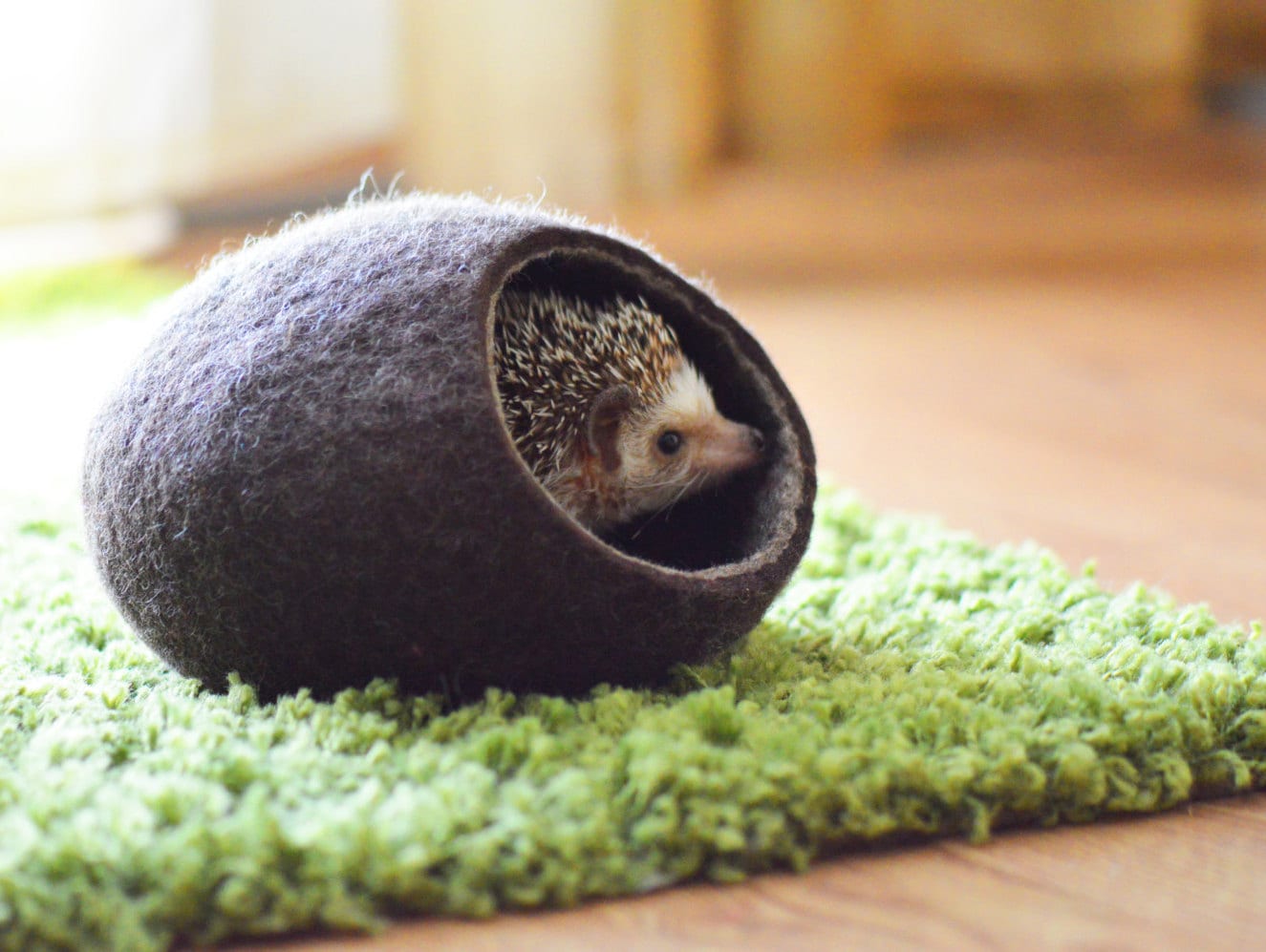 hedgehog bedroom