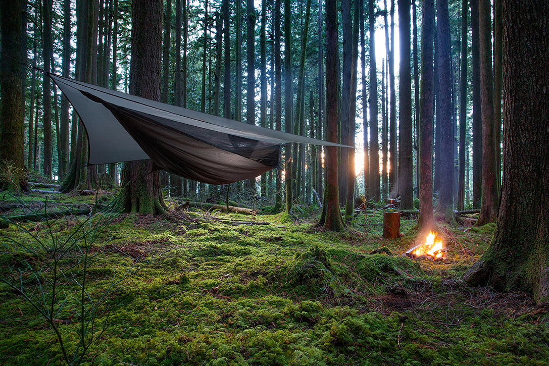 hennesy hammocks