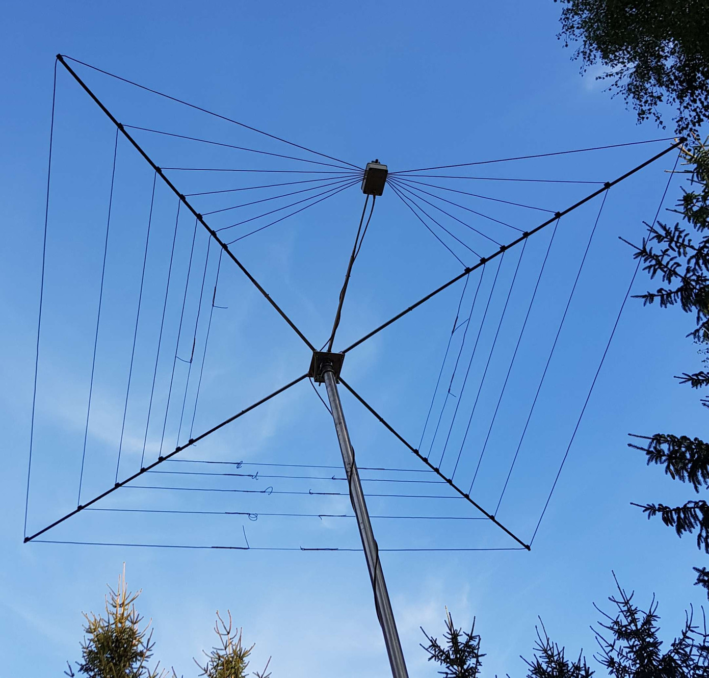 cobwebb antenna