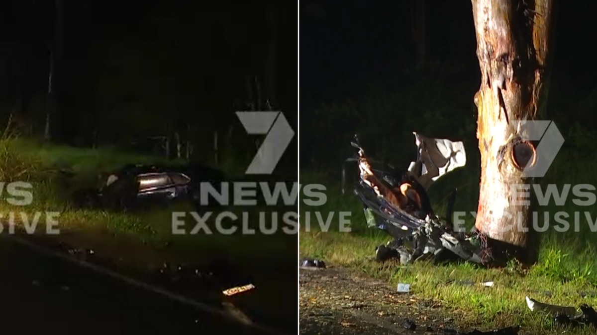 7 local news sunshine coast car crash