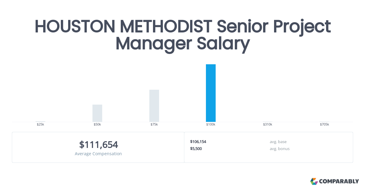 senior it project manager salary