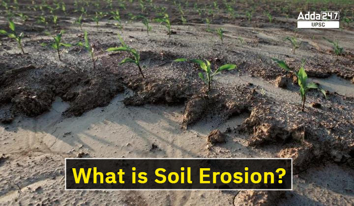 soil erosion meaning in malayalam