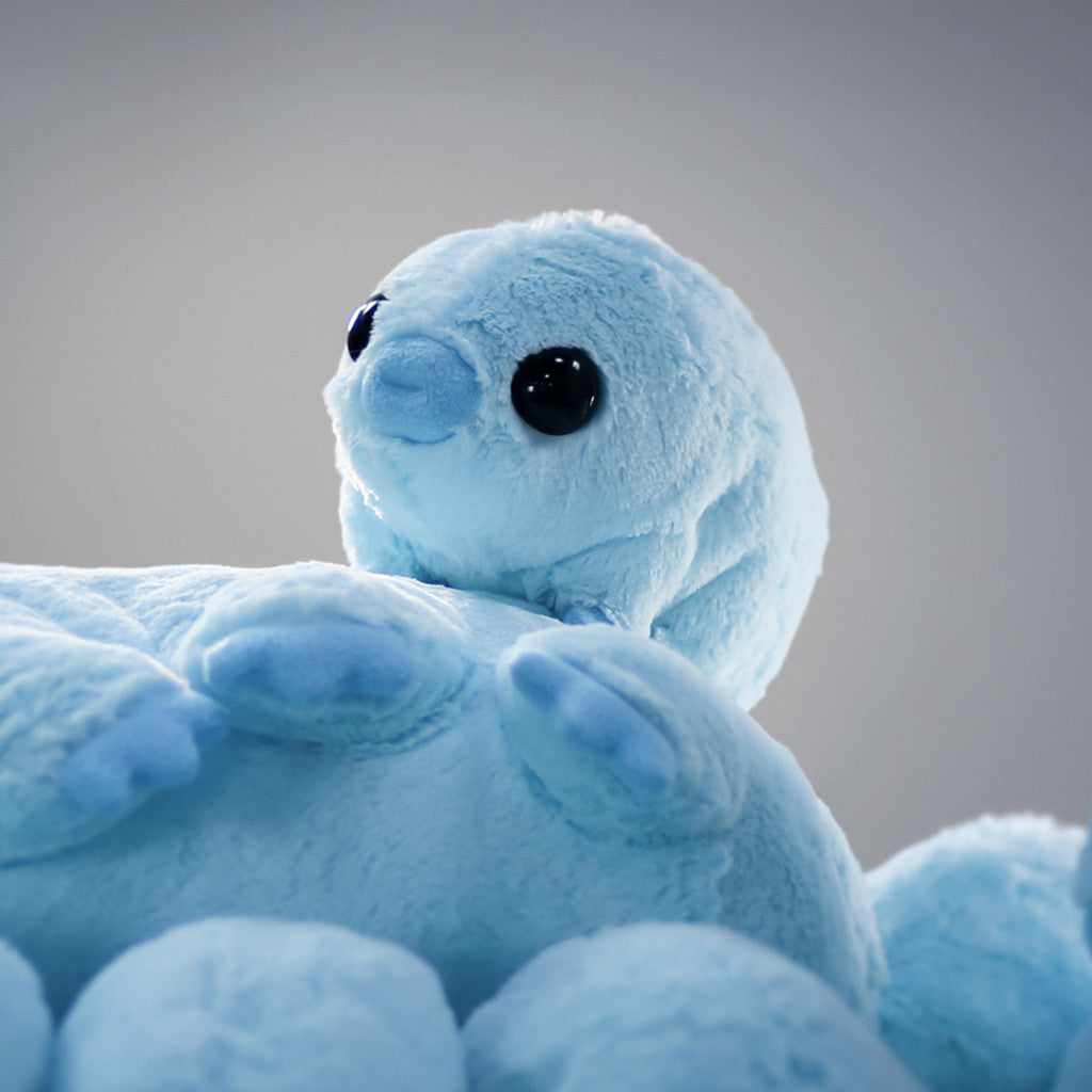 plush water bear