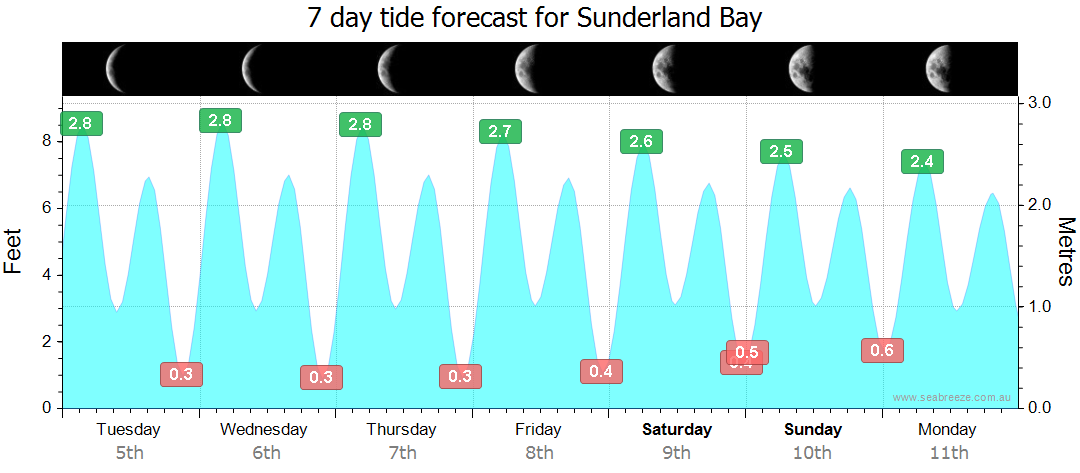 sunderland weather 7 day forecast