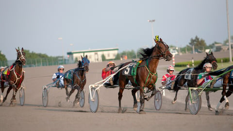 yonkers raceway picks