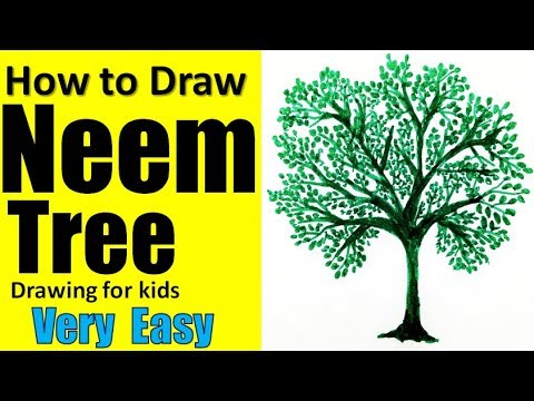 neem tree drawing easy