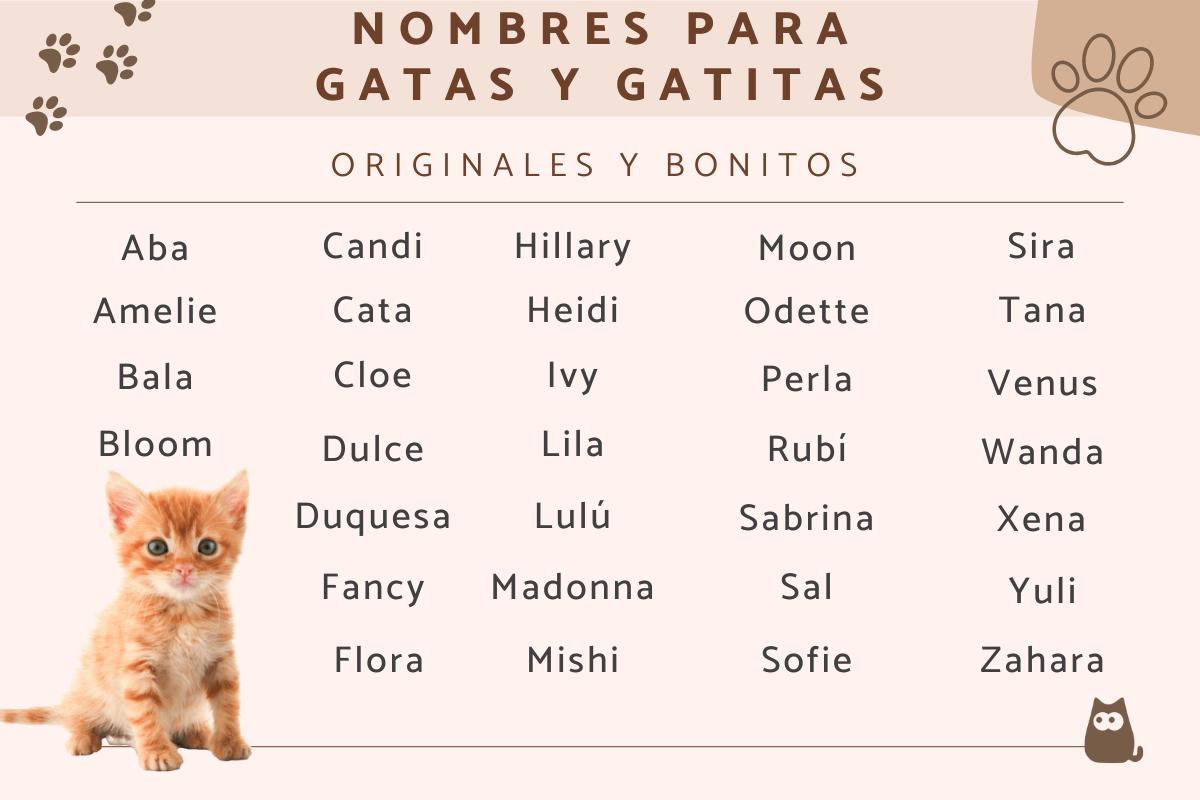 nombres para gatitas 2022