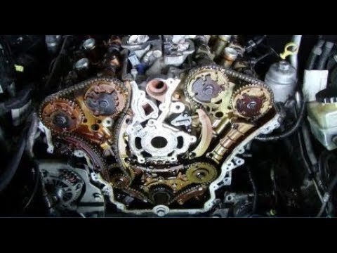 timing belt replacement cost holden commodore