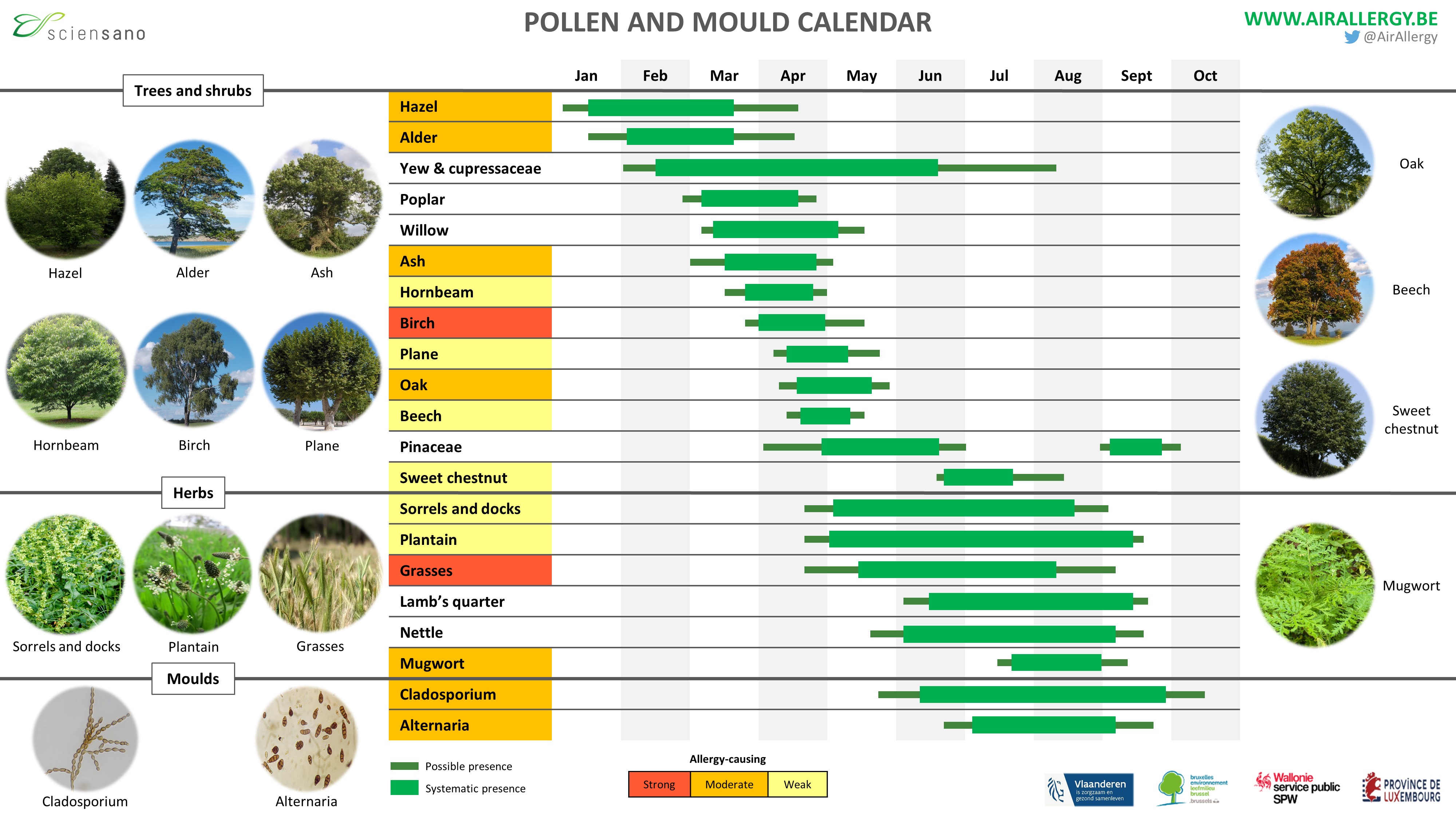 what pollen is in the air today