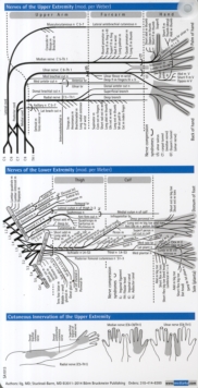 neurology pocketcard set pdf