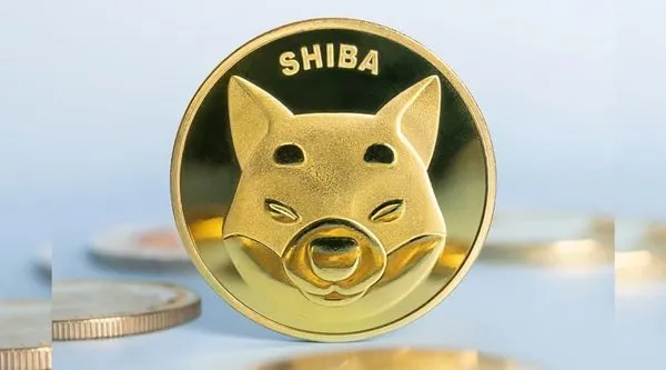 shiba coin türk lirası